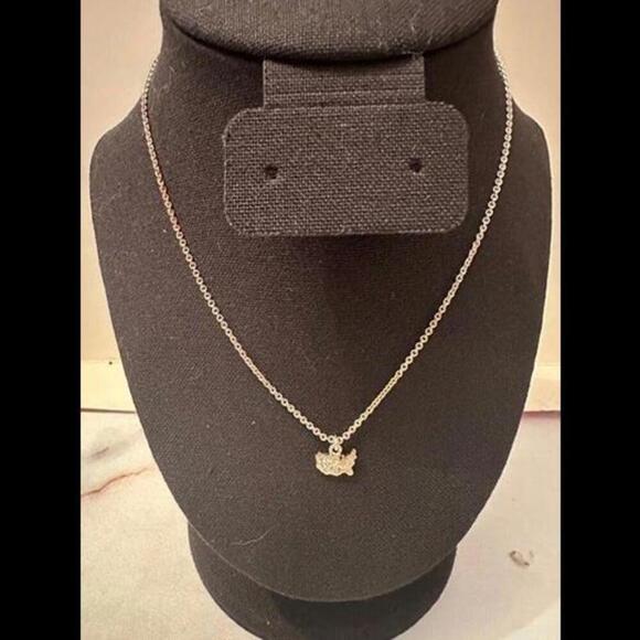 Show Your Patriotism with the USA Necklace! - Picture 2 of 2